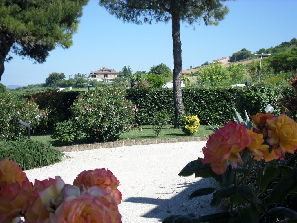 Bed And Breakfast " Il Tesoro Di Mario " Falconara Marittima Exteriör bild