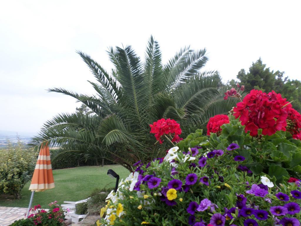 Bed And Breakfast " Il Tesoro Di Mario " Falconara Marittima Exteriör bild