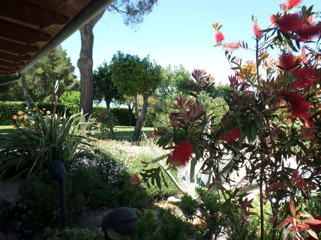 Bed And Breakfast " Il Tesoro Di Mario " Falconara Marittima Exteriör bild