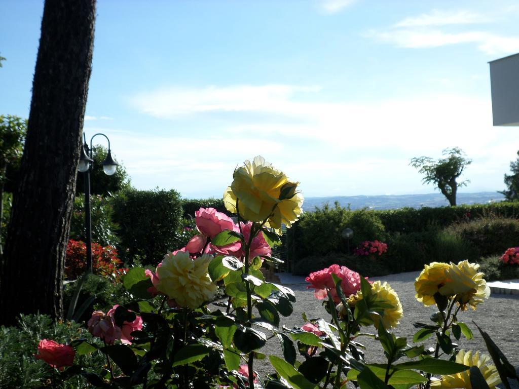 Bed And Breakfast " Il Tesoro Di Mario " Falconara Marittima Exteriör bild