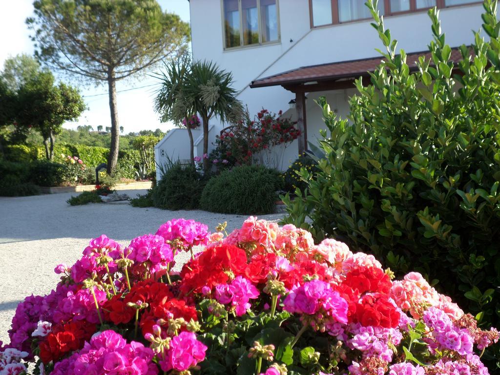 Bed And Breakfast " Il Tesoro Di Mario " Falconara Marittima Exteriör bild